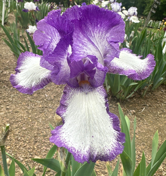 U0092