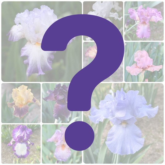 Mystery Bundle- $30 for 10